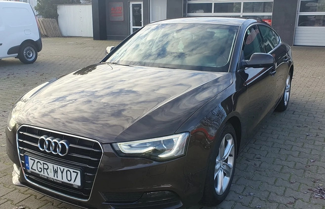 Audi A5 cena 62900 przebieg: 158255, rok produkcji 2014 z Gryfino małe 379